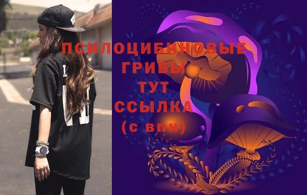 молекула духа Богданович