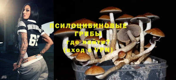 молекула духа Богданович