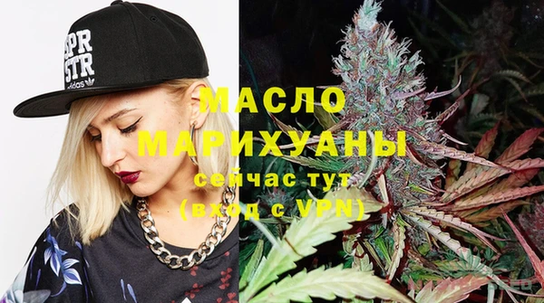 молекула духа Богданович